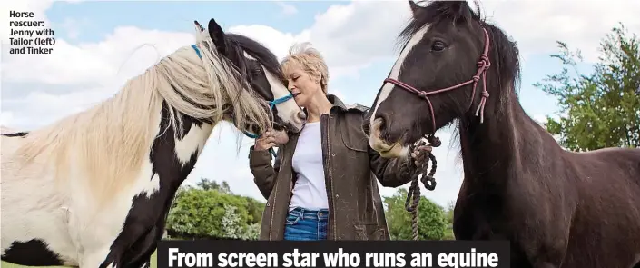  ??  ?? Horse rescuer: Jenny with Tailor (left) and Tinker