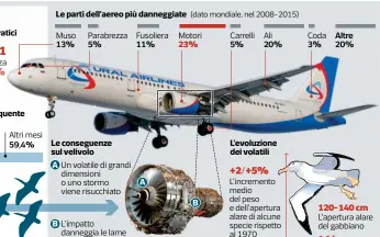  ?? (dato mondiale, nel 2008-2015) ??