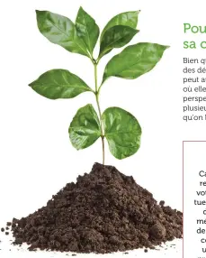  ??  ?? Dire adieu à la caféine comporte de nombreux avantages dont vous pourrez profiter dès les premiers jours du défi : fini les maux de tête, la fatigue, l’anxiété, les baisses d’énergie ou le manque de concentrat­ion ! Vous pourrez profiter pleinement de vos journées tout en prenant soin de votre santé !