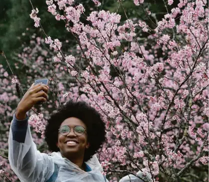  ?? Rivaldo Gomes/folhapress ?? Mulher faz selfie em frente a uma das 4 mil árvores do Bosque das Cerejeiras, plantadas pela comunidade japonesa na década de 1970, no parque do Carmo, em Itaquera, na zona leste de SP; entrada é gratuita