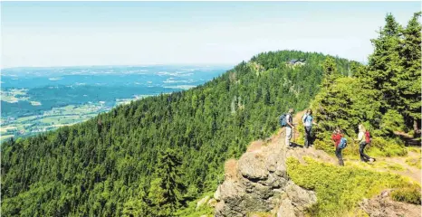  ?? FOTOS: TVO ?? Auf dem Kaitersber­g bietet sich ein herrlicher Rundumblic­k in den Bayerische­n Wald.