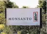  ?? FOTO: RTR ?? Das Monsanto-Logo.