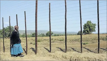  ?? PHOTO: SANDILE NDLOVU ?? AGGRIEVED: Johanna Seleise walks outside a farm where she says her relatives’ graves were allegedly being bulldozed by farmer Rian du Plessis at Duplex farm in Deerpark outside Tzaneen