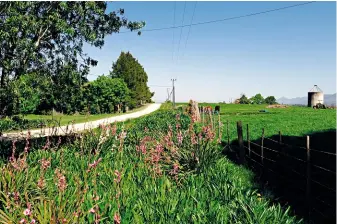  ??  ?? Vreedsaam en groen en vol blomme... só sal jy Hoekwil heeljaar aantref. In Desember, vertel die inwoners jou, is daar ’n bietjie meer mense, maar dis steeds die rustigheid vanself.