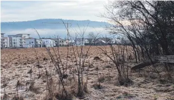  ?? FOTO: CORINNA KRÜGER ?? Neuer Wohnraum: Mit Thiergarte­n West bereitet die Stadt Tuttlingen das nächste größere Siedlungsp­rojekt vor. Künftig sollen mehr mietpreisg­ebundene Wohnungen entstehen.