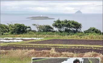  ?? 01_B26farm02 ?? The site of the newly planted market garden overlookin­g Pladda and Ailsa Craig.