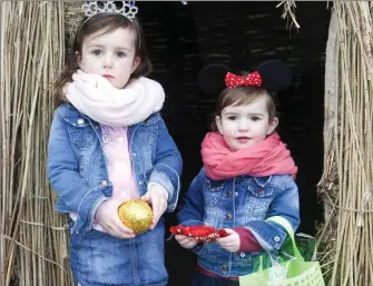  ??  ?? Sara and Emma Bastin at the Easter Egg Hunt in Rathcormac Market last Saturday.