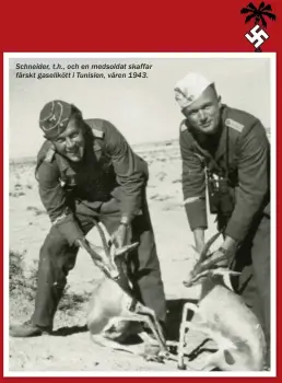  ??  ?? Schneider, t.h., och en medsoldat skaffar färskt gasellkött i Tunisien, våren 1943.