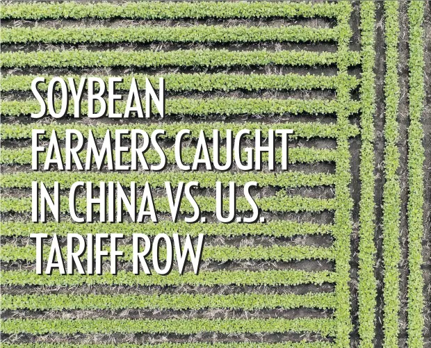  ?? DANIEL ACKER BLOOMBERG NEWS ?? A rout in the price of soybeans is being felt in the U.S. and Canada since Canadian prices are driven by those in the U.S. The market is one of many casualties of the deepening trade feud between Donald Trump and China.