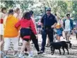  ??  ?? Police at the FOMO Festival