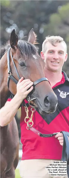  ?? ?? Stable staffer Michael Morrison takes Perfect Mission for a walk ahead of The Pearl. Picture: Glenn Hampson