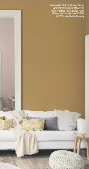  ??  ?? Main walls: Spiced Honey; Doors and frames: Gentle Moon; Far wall: Floating Petal, Dulux Paint Mixing Matt Collection, £27.56 for 2.5L. Available January