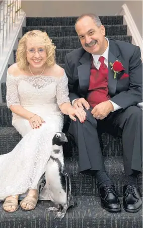  ?? ROBBIE MCLEAN/BAYLINE STUDIOS ?? Karen Lynn Clark and Bryon Francis Stepp married on Sept. 2 at the Maryland Zoo in Baltimore. With them is their animal ambassador, Kookaburra the penguin.
