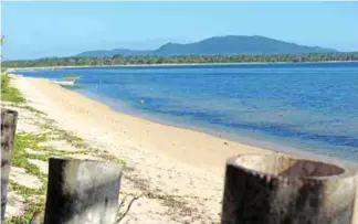  ??  ?? The scenic view from a white sand beach on Lubang Island, where the countless fruiting coconut trees will benefit from beekeeping, which will, in turn, provide the honeyprodu­cing bees with ample forage.