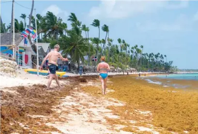  ?? NELSON PULIDO ?? Una pareja de turistas camina entre el sargazo acumulado en la playa El Cortecito, el 9 de julio de 2021.