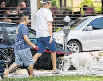  ?? Gina Ferazzi
Los Angeles Times ?? A DOG AND his guardian pass West Hollywood Park, which is about to get a makeover into what officials say will be an urban oasis unlike any other. But critics of the plans say it doesn’t need three play areas for children.