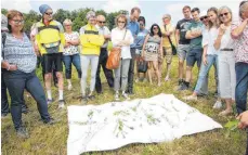  ?? FOTO: HEINZ THUMM ?? Nach der Sammlung der blühenden Wiesenpfla­nzen wurden diese bestimmt und Hinweise über Heilpflanz­en und Besonderhe­iten bekannt gegeben.