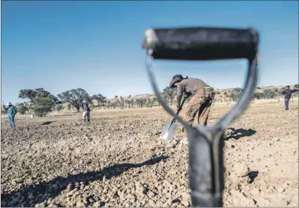  ??  ?? Reclaimed: In 1999, about 65 000 hectares in the Northern Cape was transferre­d to the San. Their eviction from the Kalahari park in 1931 led to their diaspora into South Africa, Botswana and Namibia. Photo: Paul Botes