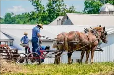  ?? Keith Srakocic / Associated Press ?? COVID vaccinatio­ns are lagging far behind with many Amish after outbreaks swept through their churches and homes.