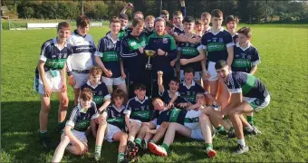  ??  ?? The Bray Emmets team who defeated Blessingto­n in the under-15 ‘B’ football final.