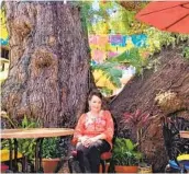  ?? COURTESY PHOTO ?? Diane Powers at the giant pepper tree in Old Town she saved from being cut down 26 years ago.