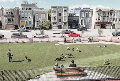  ?? Lea Suzuki/The Chronicle ?? Pooches play in the dog run along Bay Street at the new Francisco Park, which offers a sprawling view of city and nature.