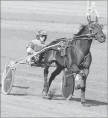  ?? JASON SIMMONDS/JOURNAL PIONEER ?? Blu Meadow Willie and driver Walter Cheverie at Red Shores at Summerside Raceway. Blu Meadow Willie is retiring on Sunday.