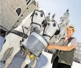  ?? BILD: SN/ROBERT RATZER ?? Karin Hellmann versorgt ihre Fiaker-Pferde mit Wasser.