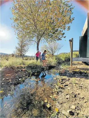  ??  ?? Talia , 5, and Leela Jordan, 8, cross the stream running past ’The Pup’ luxury chalet.