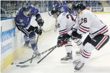  ??  ?? Royals forward Dino Kambeitz fights for the puck with Winterhawk­s forwards Jaydib Dureau, middle, and Mason Mannek on Tuesday at Save-on-Foods Memorial Centre.