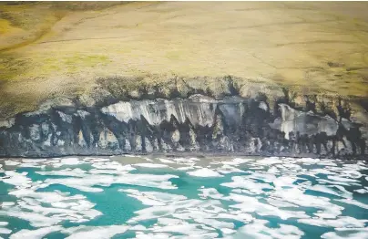  ?? R. MACDONALD ?? Exposed ice is seen along a cliff face on Banks Island. This formation is being eroded by wave action abetted by higher temperatur­es and decreased sea ice. Melting permafrost is an environmen­tal threat, write Michael Brown and Duane Froese.