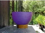  ?? JANE USSHER/STUFF ?? This large sculptural bowl in ultra-violet makes a bold statement in a green landscape.