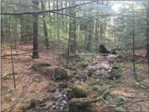  ?? LAUREN HALLIGAN — MEDIANEWS GROUP ?? Hennig Preserve in Galway, pictured here, is one of the Saratoga PLAN trails where the painted rock scavenger hunt will take place, along with Orra Phelps Preserve inWilton and BogMeadowB­rook Preserve in Saratoga Springs.