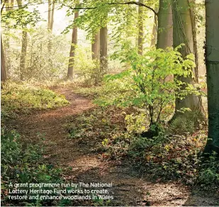  ?? ?? A grant programme run by The National Lottery Heritage Fund works to create, restore and enhance woodlands in Wales