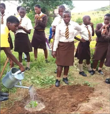  ??  ?? Hurungwe Secondary School pupils planting trees