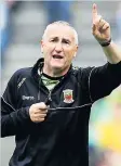  ??  ?? WILLING Donie Buckley agreed to come on board as Kerry coach