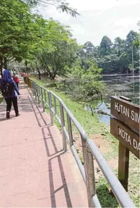  ?? [FOTO HIASAN] ?? Berjalan menikmati keindahan hutan mampu menenangka­n jiwa.