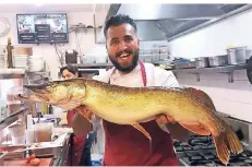  ?? RP-FOTO: B. WANNINGER ?? Am liebsten zieht Sam Keshvari die großen Fische selbst aus dem Wasser. Jetzt gibt der Koch sein Restaurant „Ratatouill­e“auf.