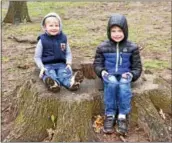  ??  ?? Three-year-old Simon and 6-year-old Desmond Allen during Earthfest.