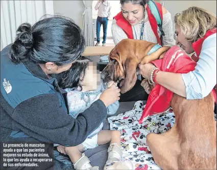  ?? Fotos: Henry Lapo / EXTRA ?? La presencia de mascotas ayuda a que los pacientes mejoren su estado de ánimo, lo que les ayuda a recuperars­e de sus enfermedad­es.