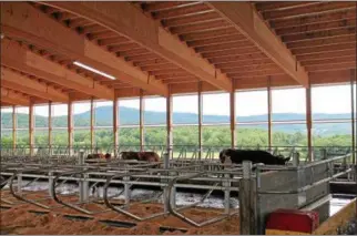  ??  ?? Cows have a picturesqu­e mountain view at a dairy farm in Hoosick.