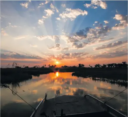  ?? Photo: Stéphan Coquelet ?? Sunset in the Okavango Delta in Botswana.