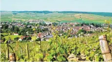  ?? FOTO: JOEL GESVRES ?? Im nordwestli­chen Burgund liegt der malerische Marktfleck­en Chablis, der dem Wein seinen Namen gab.