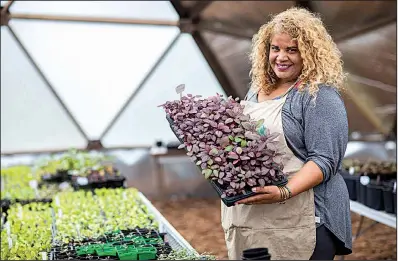  ?? Chicago Tribune/ZBIGNIEW BZDAK ?? Erika Allen, co-founder and CEO of Urban Growers Collective, holds amaranth plants at the South Chicago Farm in Schafer Park in Chicago, in late May.