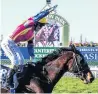  ?? PHOTO: RACE IMAGES SOUTH ?? Yes! Kylie Williams celebrates after winning her 700th race as a jockey at Riccarton on Saturday.