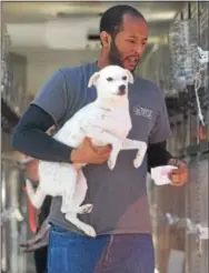 ?? PETE BANNAN — DIGITAL FIRST MEDIA ?? Brandywine Valley SPCA employee Andrew Haman helps ‘Nico’ from the transport trailer after his rescue from Puerto Rico.