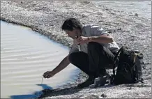  ??  ?? REPTILE VETERINARI­AN Paul Gibbons says salinity levels at the north Los Angeles County lake rival that of the Pacific Ocean.