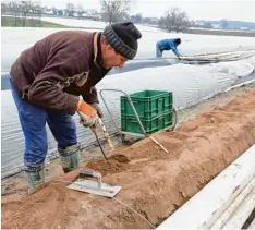  ?? Foto: Erich Echter ?? Nach wie vor Handarbeit: Bei Regenwette­r wird hier der erste Spargel auf beheizten Feldern bei Inchenhofe­n geerntet.