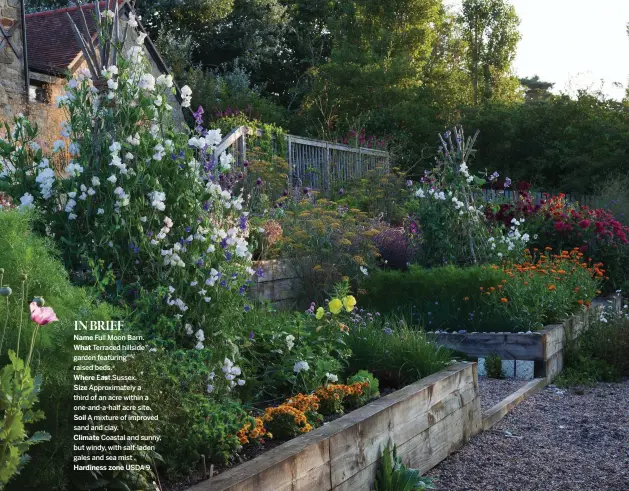  ??  ?? Above Raised beds, overflowin­g with
Tara’s favourite plants, replaced a slippery slope leading down from the deck of Tara’s southfacin­g house. The sweet peas were grown from Sarah Raven’s Clouds of Scent collection.