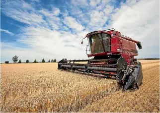  ?? TONY BENNY ?? Grain growers will be mulling the consequenc­es of big harvests offshore.